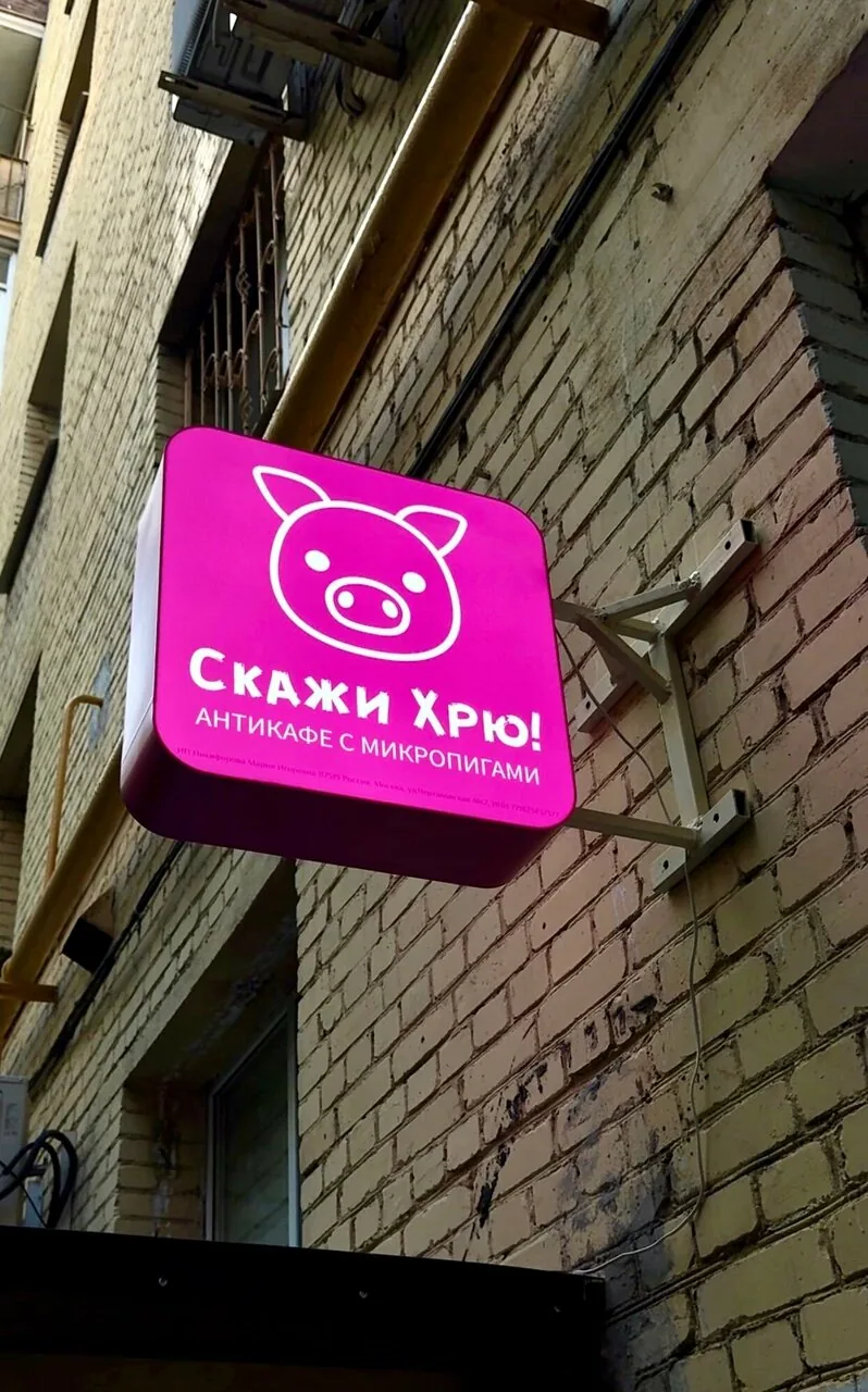 Розовая вывеска «Скажи Хрю! Антикафе с микропигами» на кирпичной стене